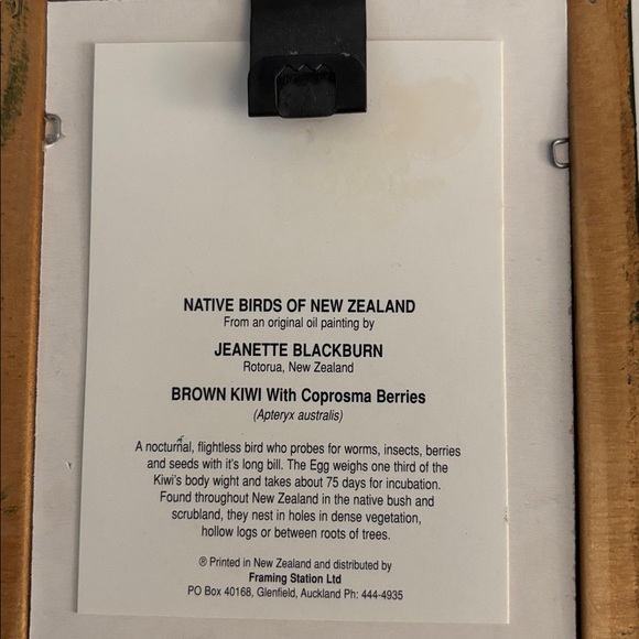 Set of Two Framed Native Birds of New Zealand - Picture 7 of 7